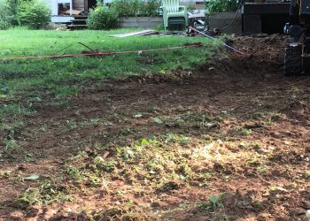 The site - a scrappy piece of lawn